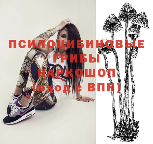 шишки Абдулино