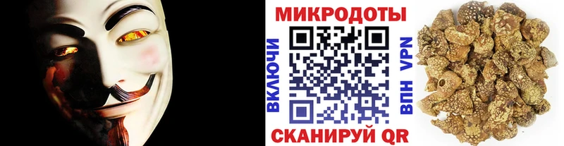 блэк спрут рабочий сайт  Балахна  Галлюциногенные грибы Magic Shrooms 